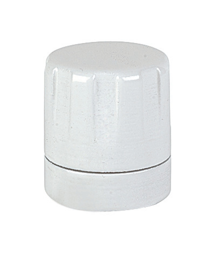 Tête manuelle blanche