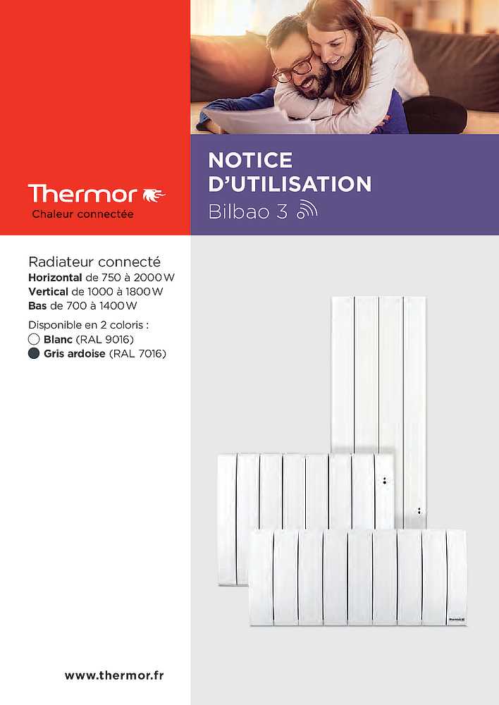 Radiateur Chaleur douce Bilbao 3 vertical gris ardoise 1000W